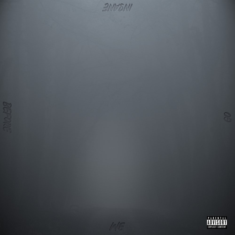 Artwork for Before We Go Insane by Dillin Hoox